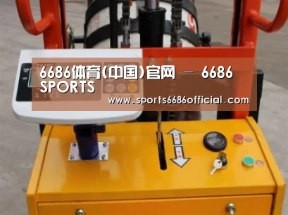 6686体育案例展示三