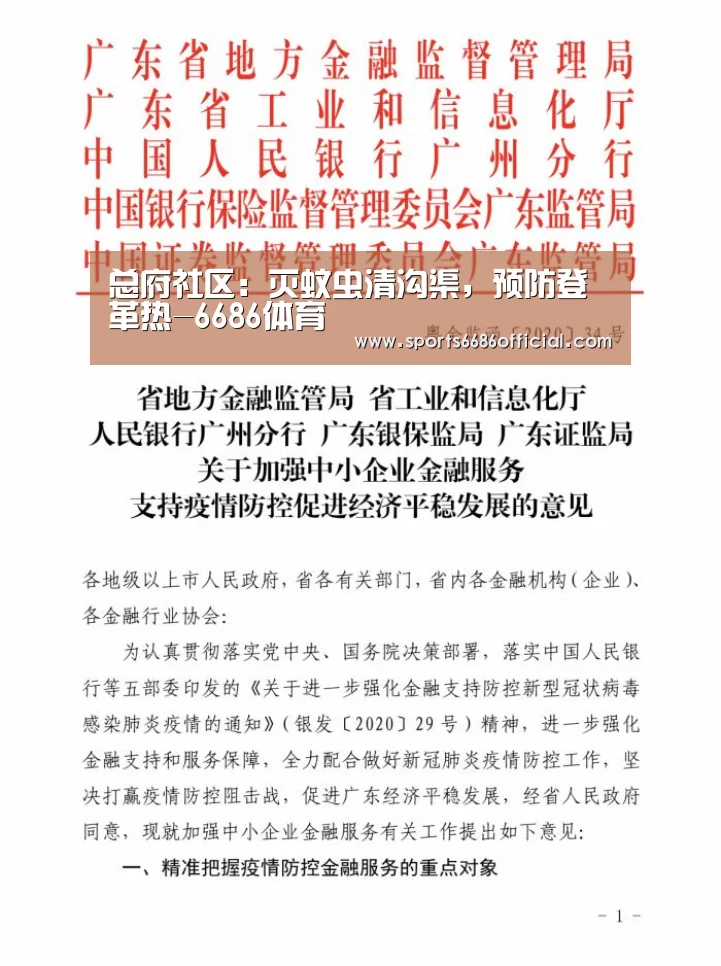 总府社区:灭蚊虫清沟渠,预防登革热-6686体育(图3) 6686体育下载