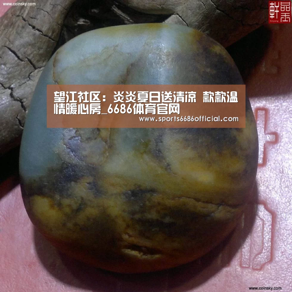 望江社区:炎炎夏日送清凉 款款温情暖心房_6686体育官网(图1) 6686体育