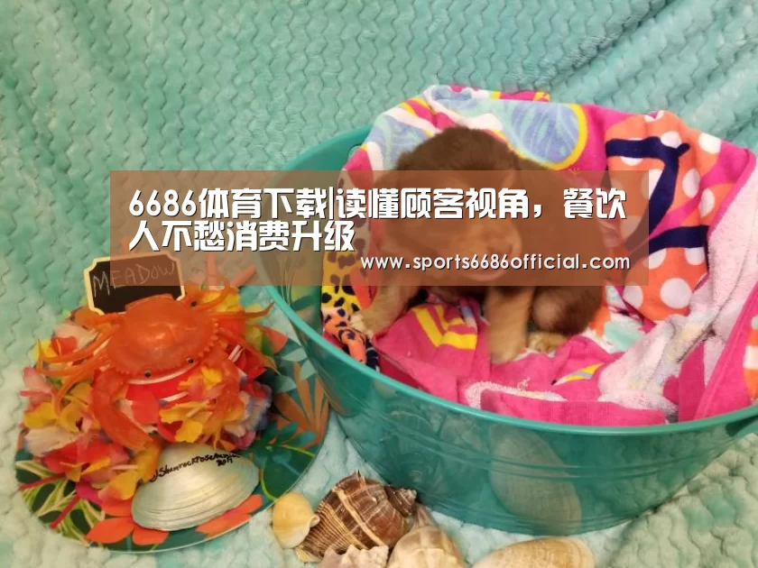 6686体育下载|读懂顾客视角,餐饮人不愁消费升级(图1) 6686体育