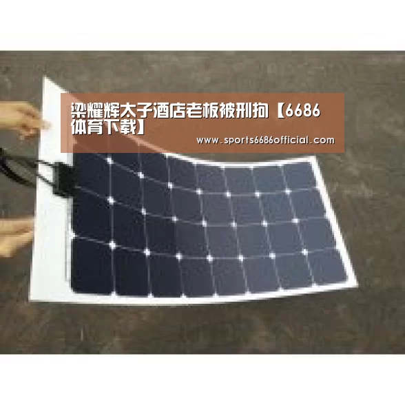 梁耀辉太子酒店老板被刑拘【6686体育下载】(图1) 6686体育