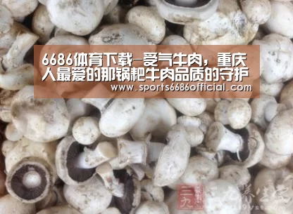 6686体育下载-受气牛肉,重庆人最爱的那锅耙牛肉品质的守护者(图1) 6686体育官网